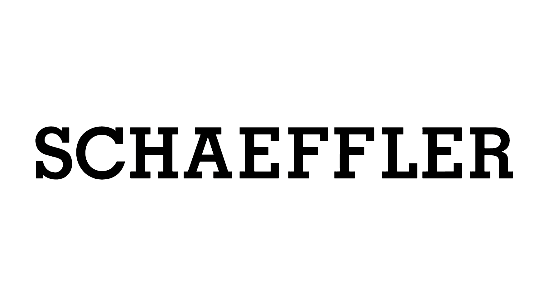 Schaeffler — Referenzkunde LEGER